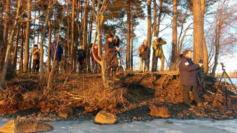 Läs mer om artikeln Isvaksspaning 15 mars 2017