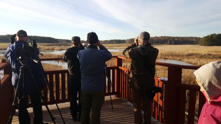 Läs mer om artikeln Fågeltornskampen vid Kyrkbytjärn