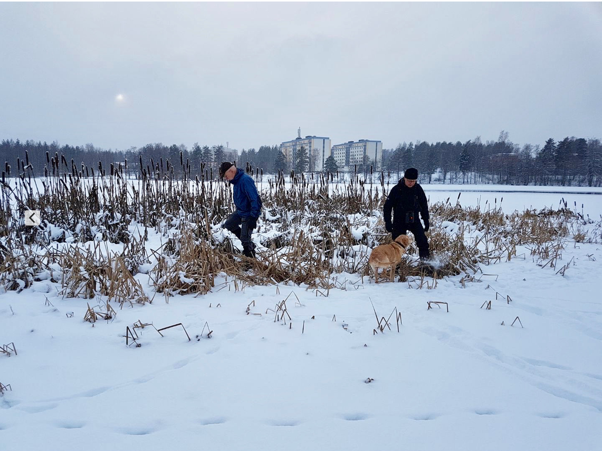 Läs mer om artikeln Kaveldunstrampning i Östanfors.