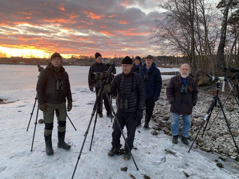 Läs mer om artikeln Isvaksspaning 27 mars 2019