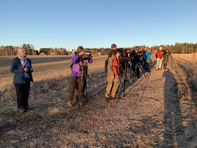 Läs mer om artikeln Kvällsexkursion till Kyrkbytjärn