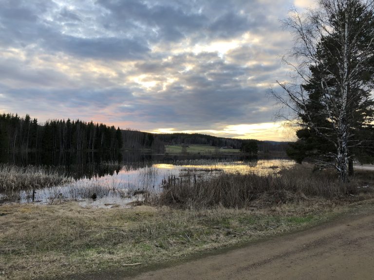 Läs mer om artikeln Kvällsexkursion till Backa Danholn 1 maj 2019.