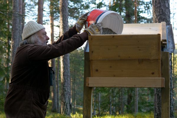 Påfyllning av klubbens matning vid Sanders Gammelskog